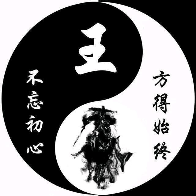 铁掌王