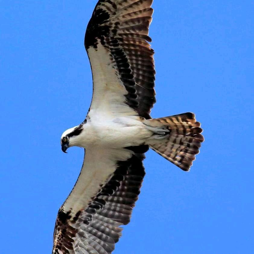 风云，东方不败