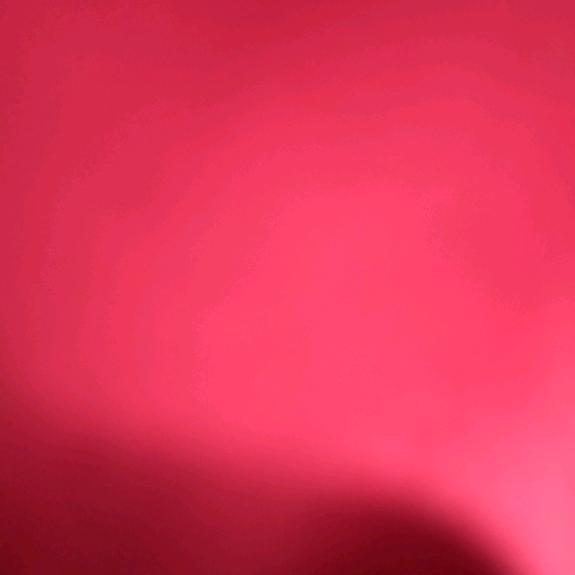 泽哥