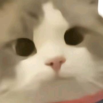 姜笙
