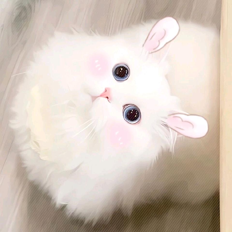 ·甜甜·