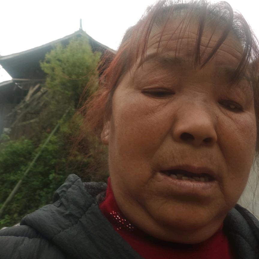 惜墨如金
