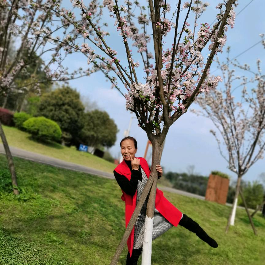 aa美/拒绝合拍秒赞