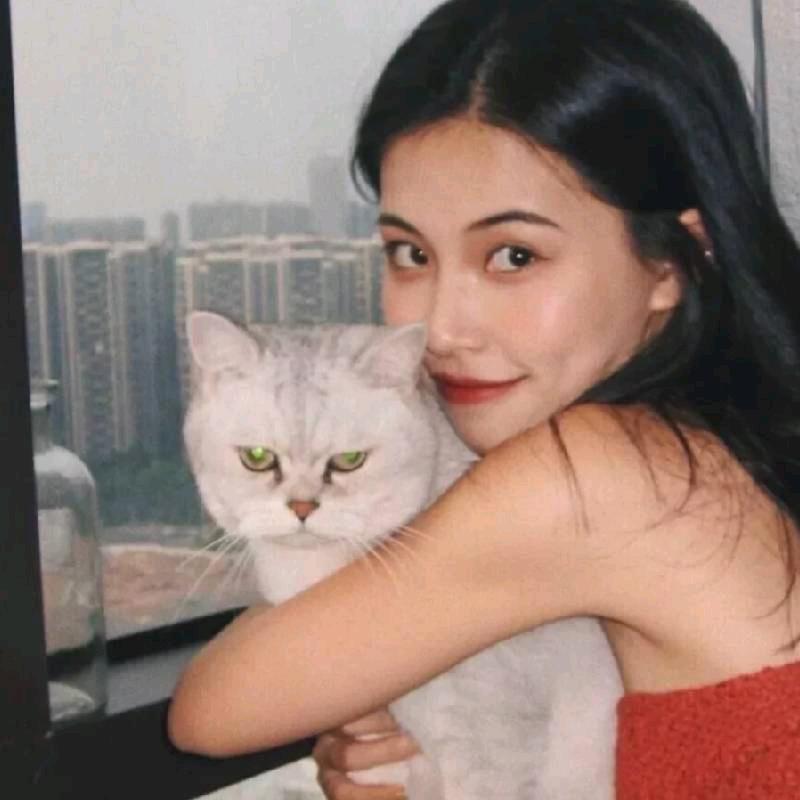 陈美佳