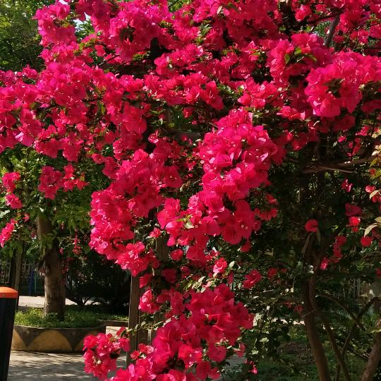 拒绝私聊陌生人，别打扰