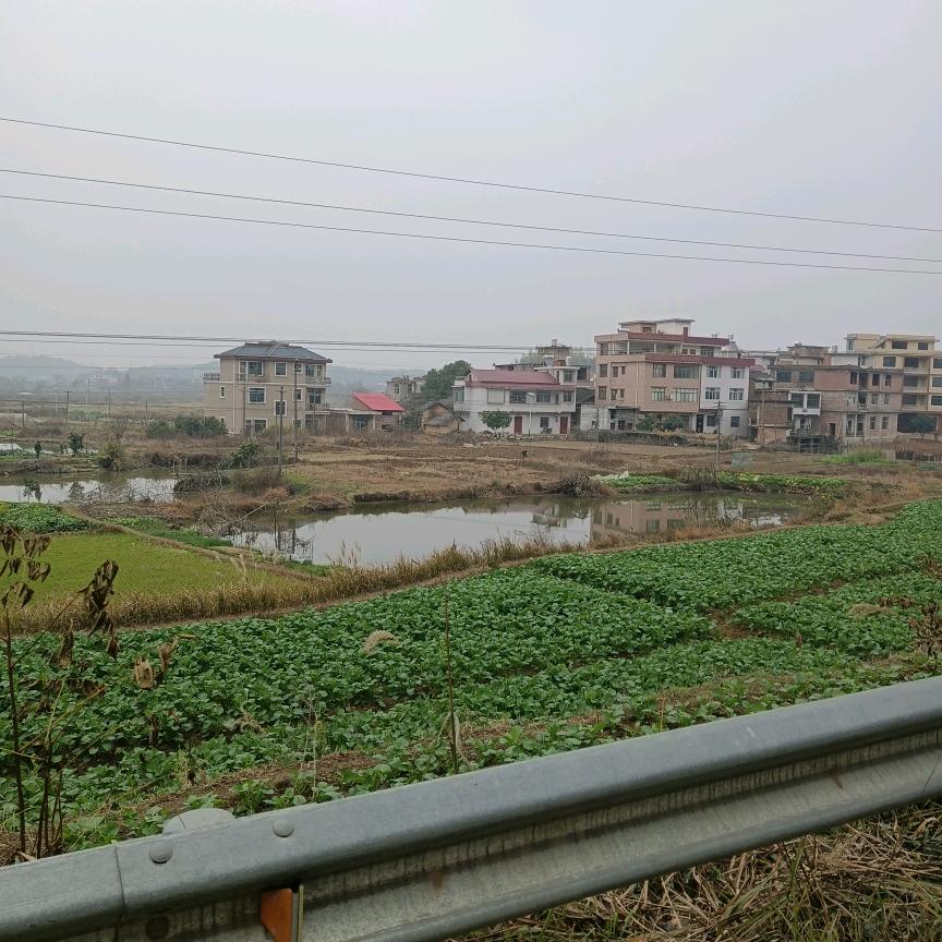 东方红7426