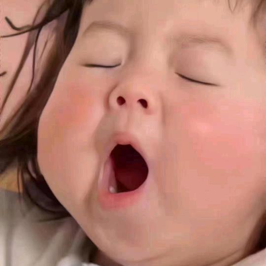 *.吃了鱼的🐱