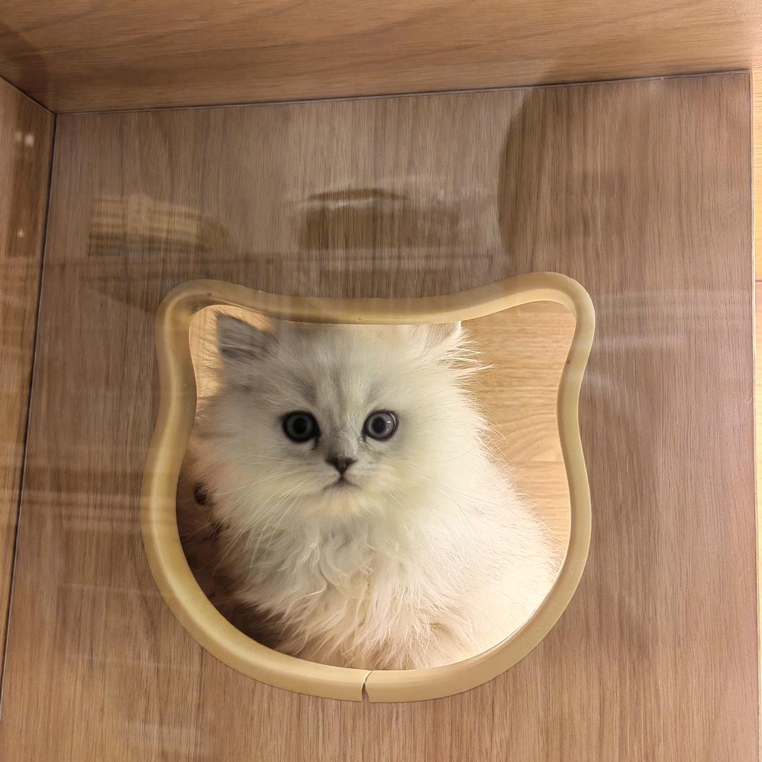 敏宠宠物