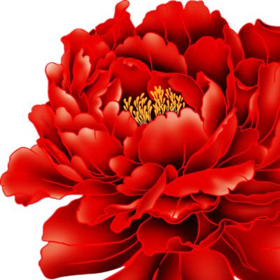 花雷