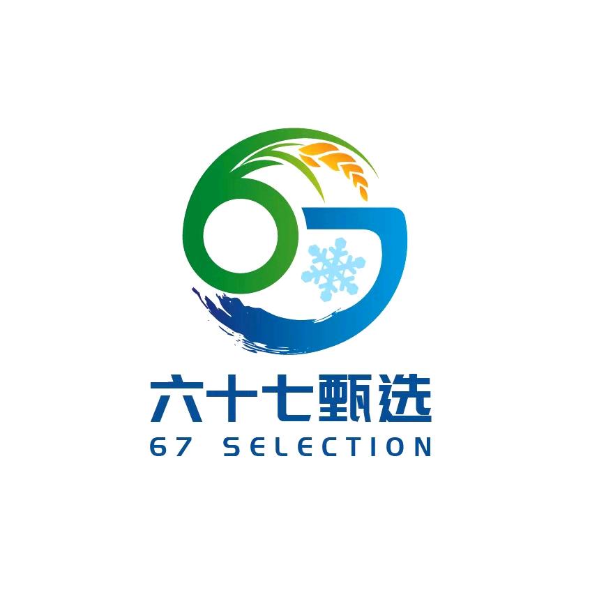 六十七甄选食品