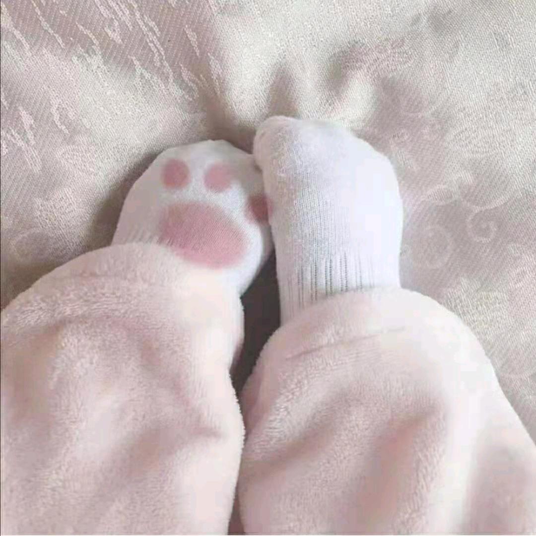 南渊