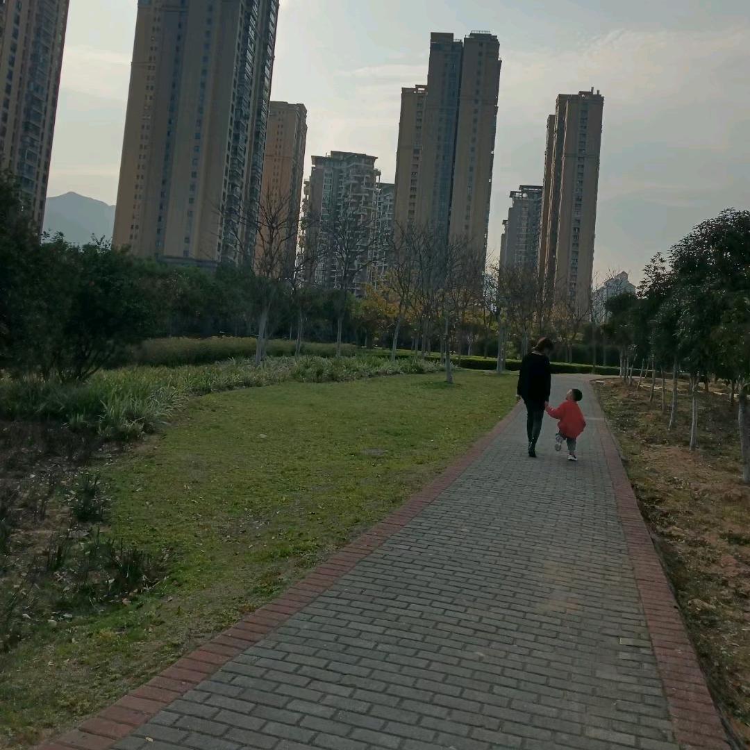 柠檬