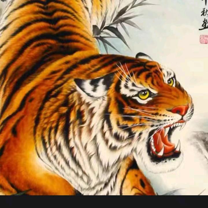 东北虎
