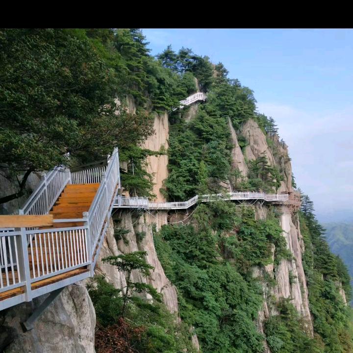 动力