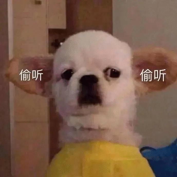 今天会有好运发生