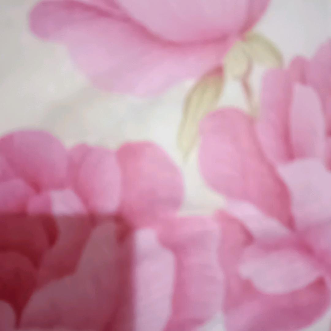 天天开心就是根本