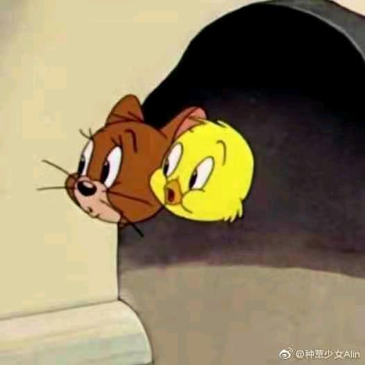 用户8835943908569