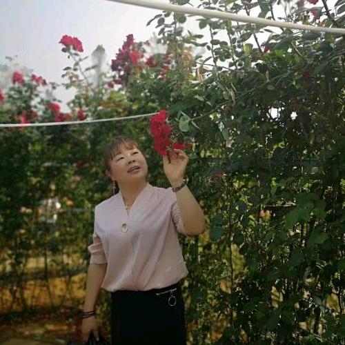 小娅