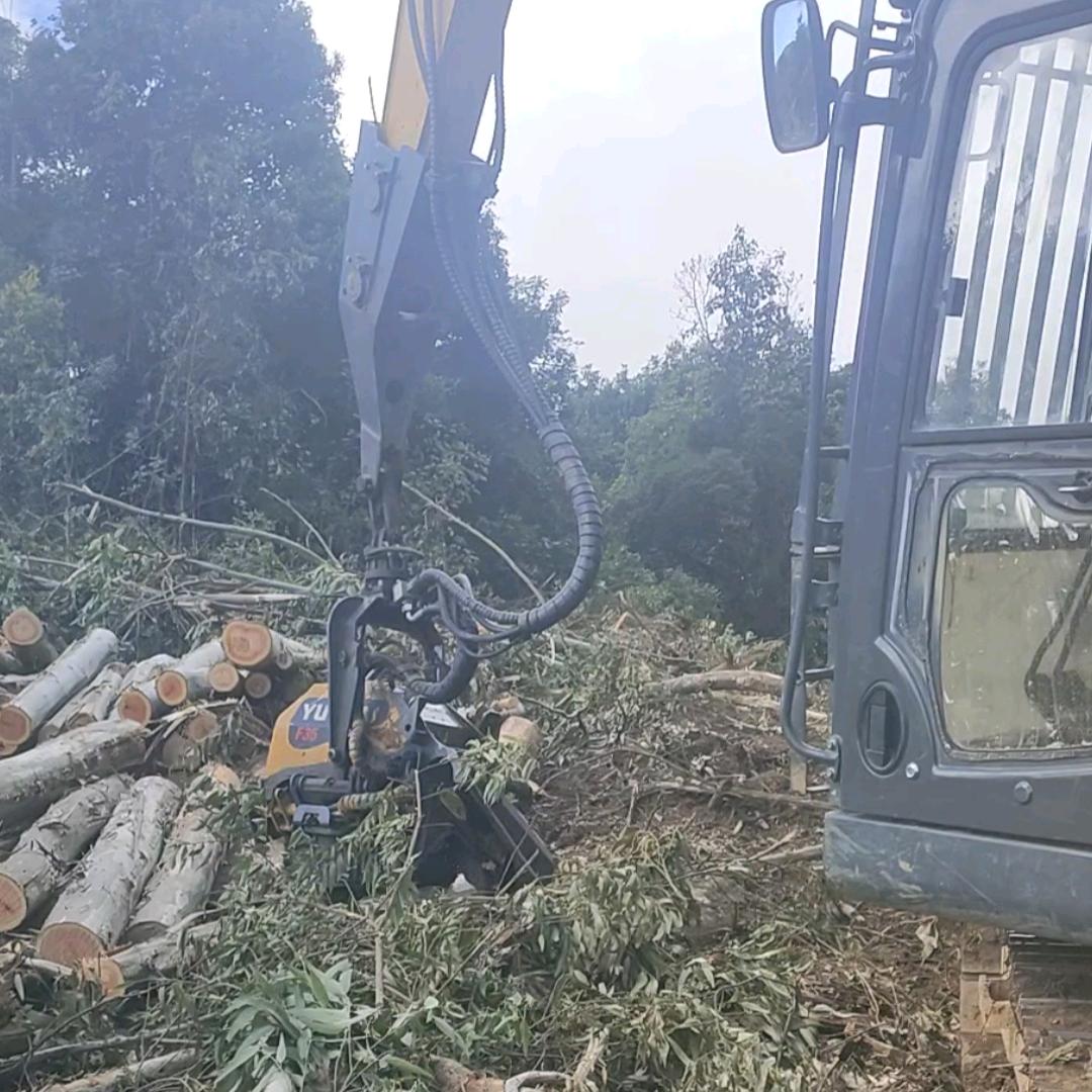 伐木机小罗《正手》