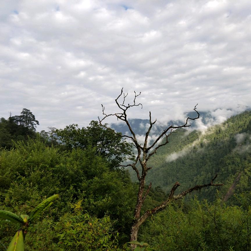 专业注浆加固、治堵水