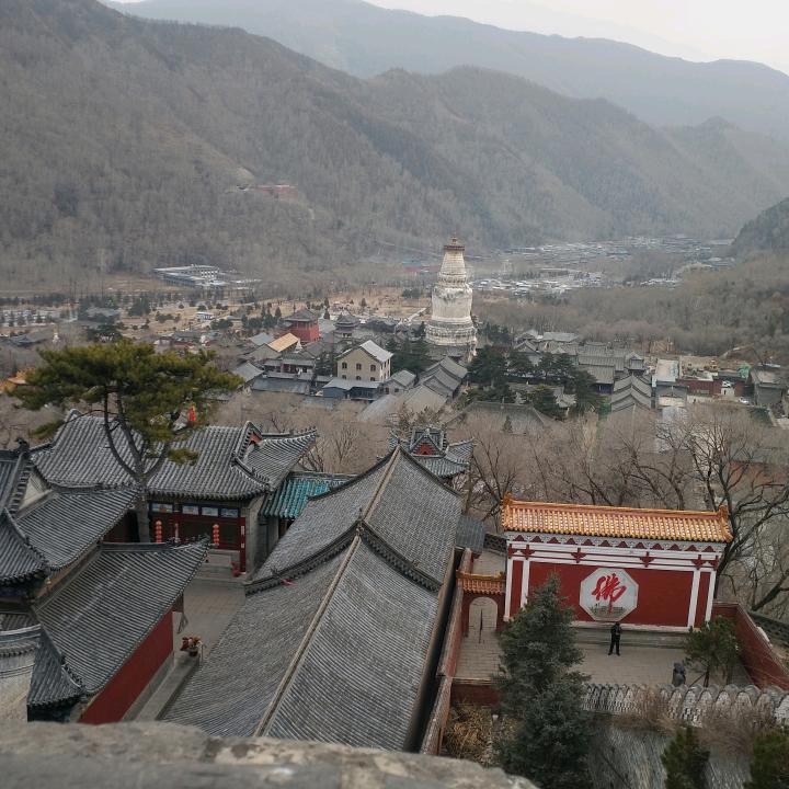 善心善缘