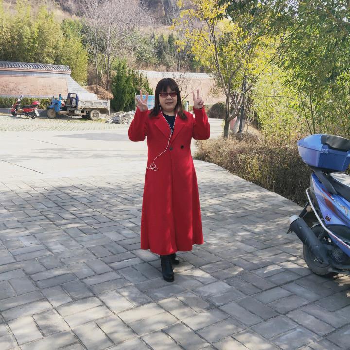 如意