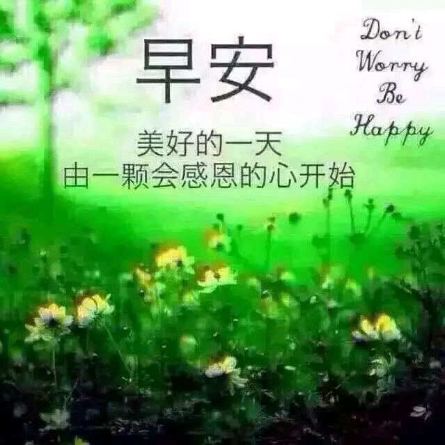 一十一惠有杰作
