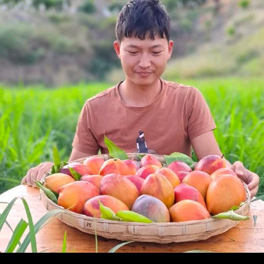 刘鲜森水果店