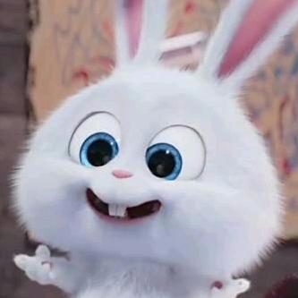 兔🐰