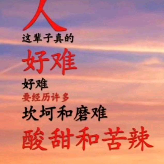 豫北阿军