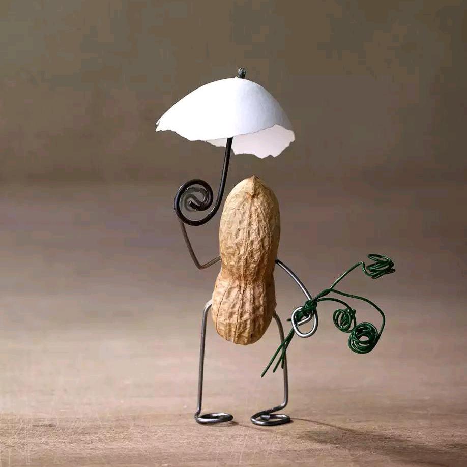 🌊🌴随心…🌴