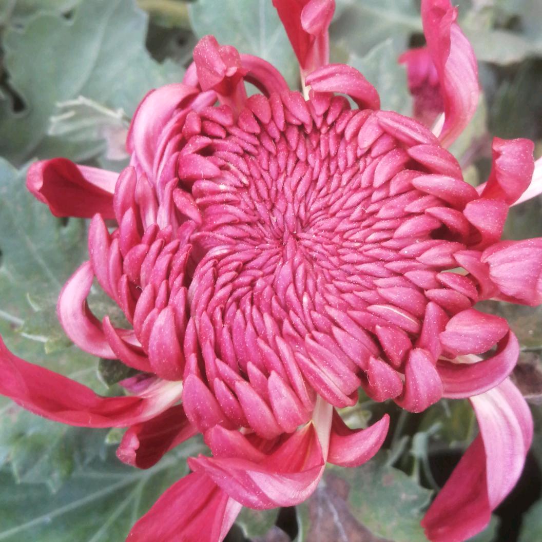 负我不负她@🐠