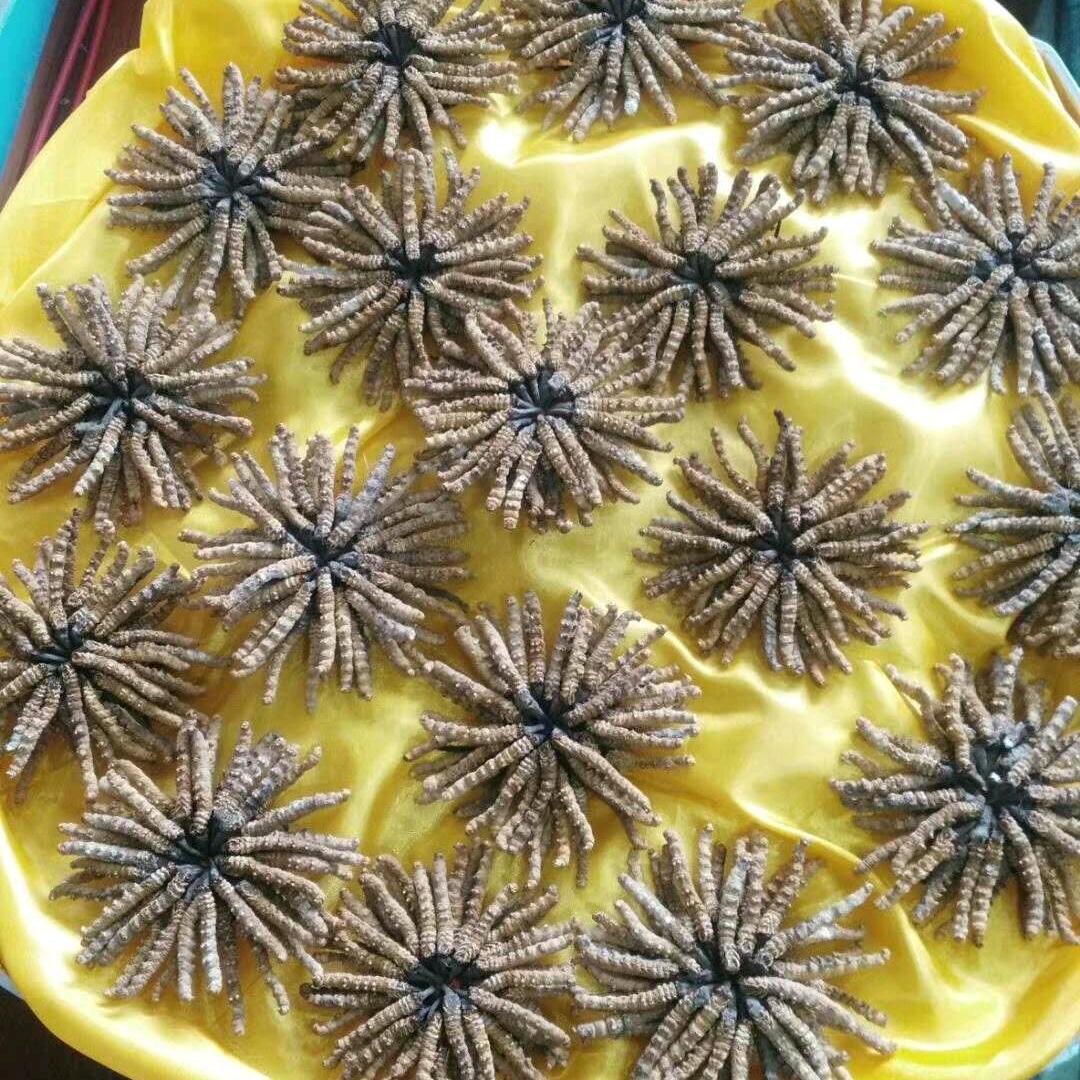 嘎马达基