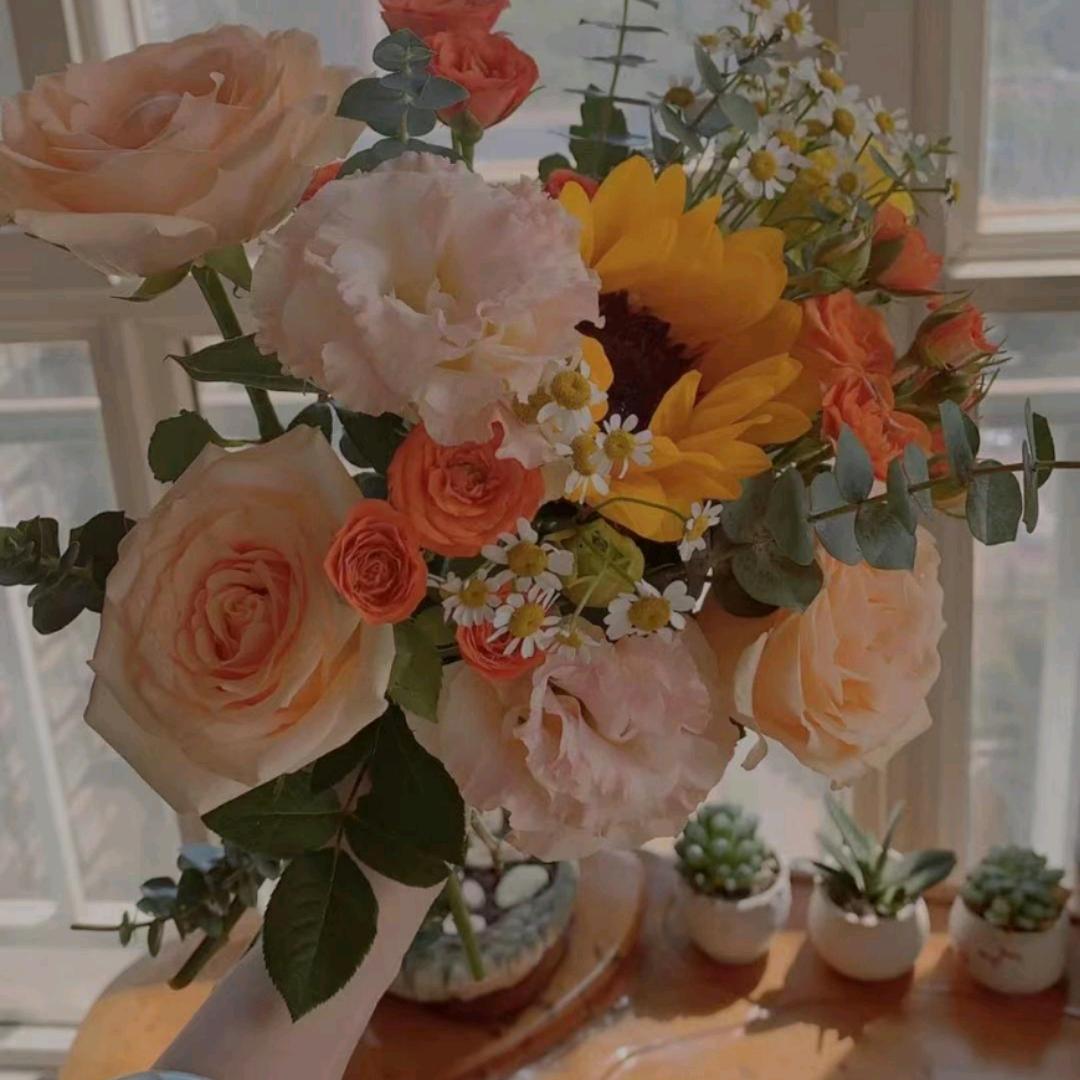 🌺岁月静好🌺