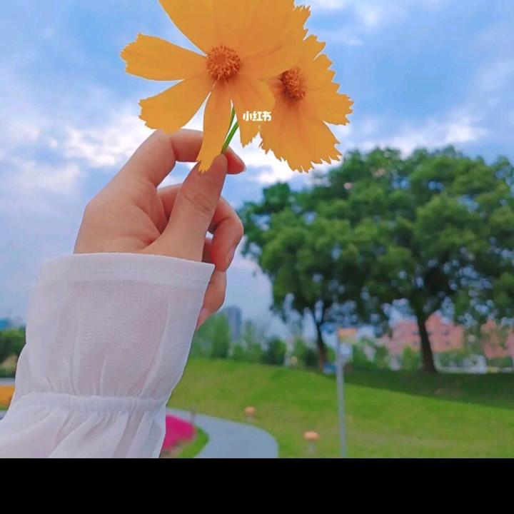 雷爱❤️伟权