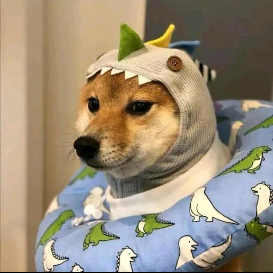 🌈🌈二狗🌈🌈