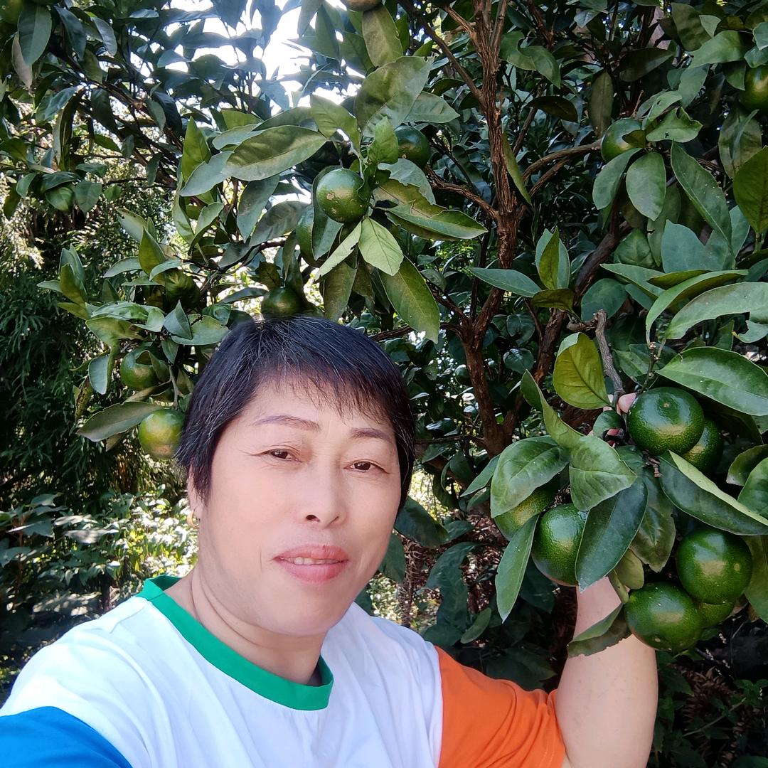 农村宝奶