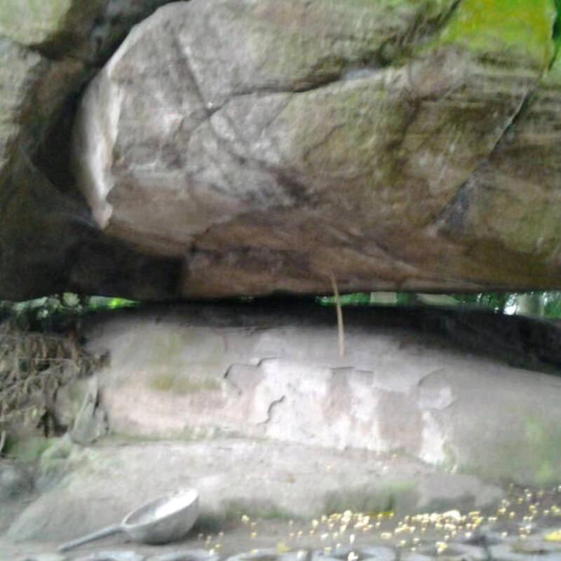 顺其自然