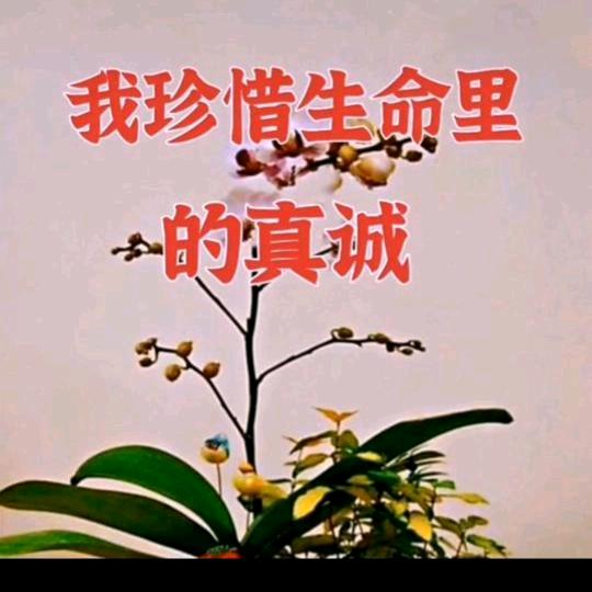 回忆