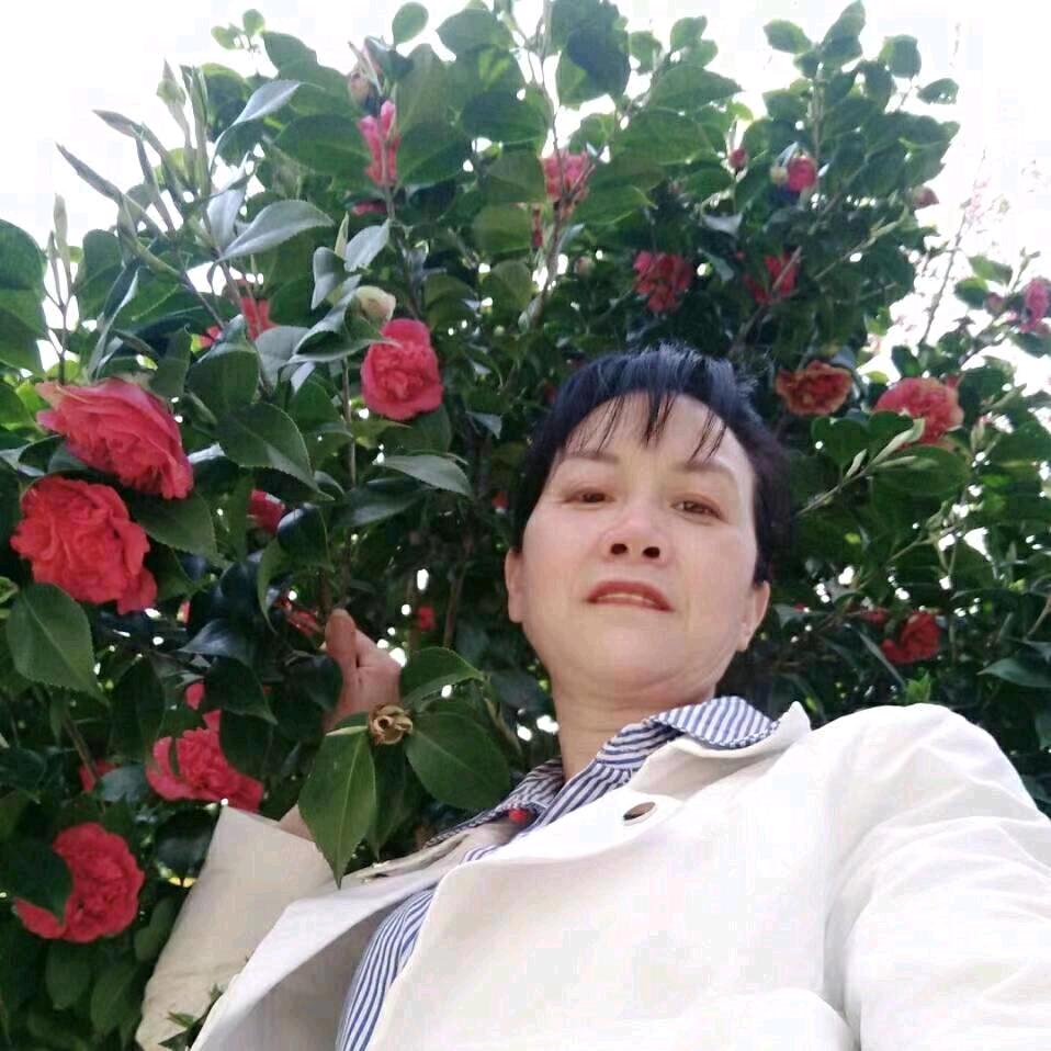 单身姐姐