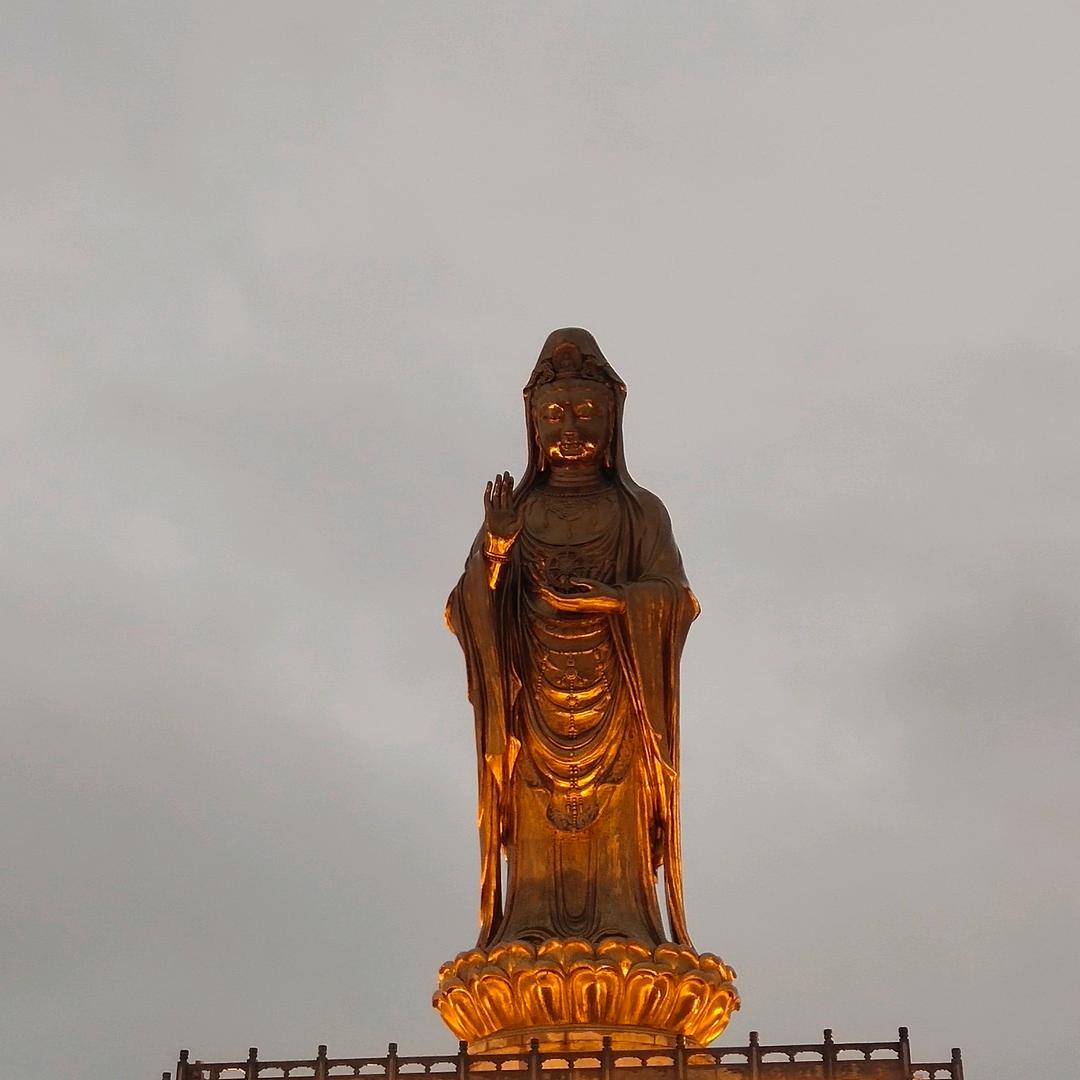 菲姐