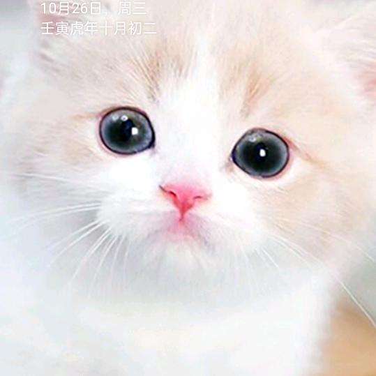 海纳百川_(:з」∠)_