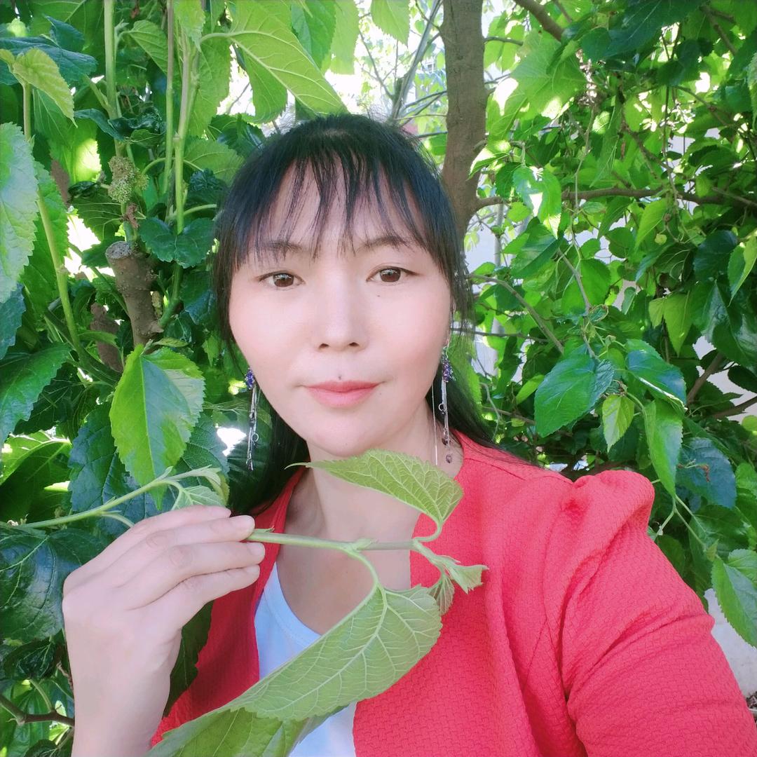 最美的相遇