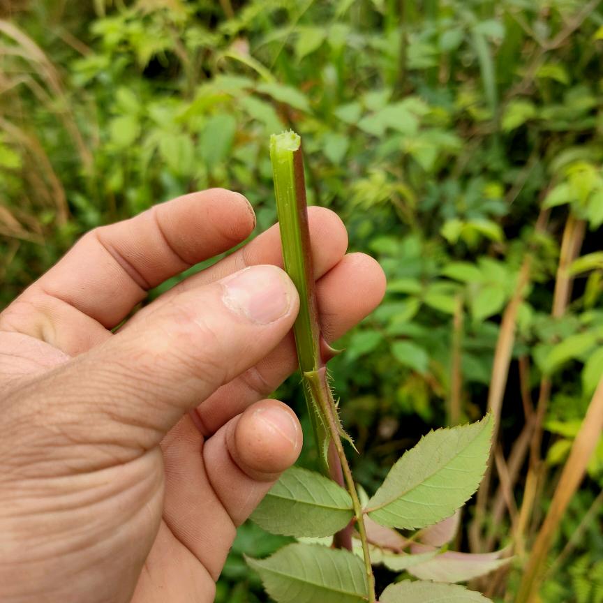 253😊😊😊😊😊