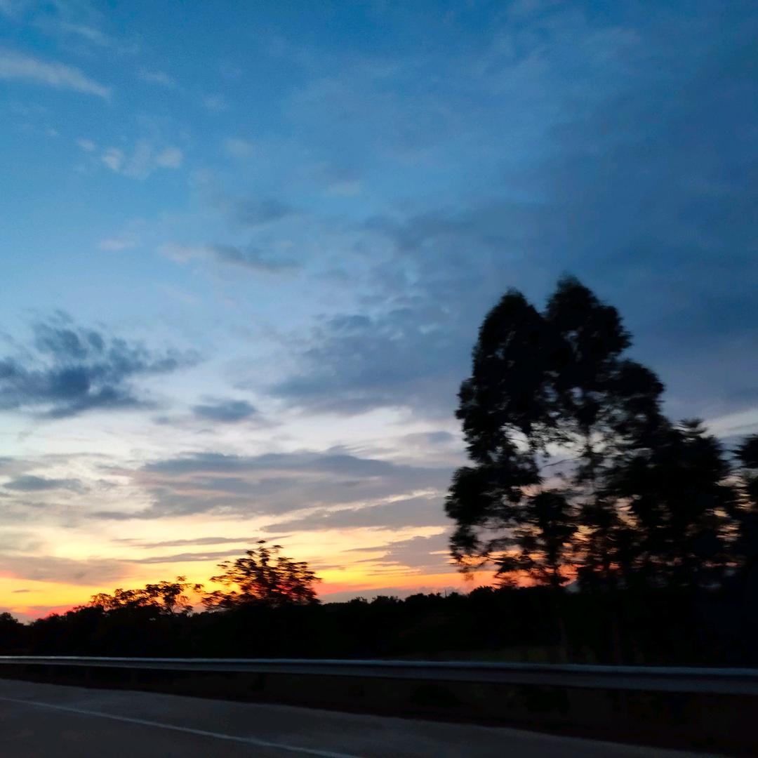 想个昵称( •︠ˍ•︡ )