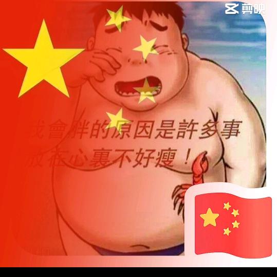 哈了个切