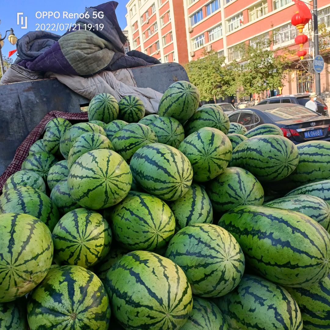 ☞一切随缘☜
