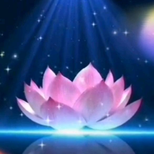 小姐姐橱窗好物分享👀🐇🧸可自行下单