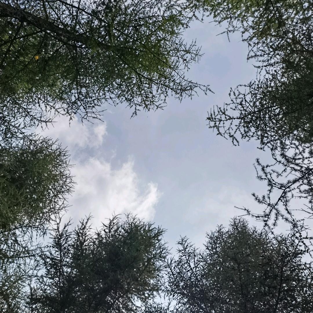 凯