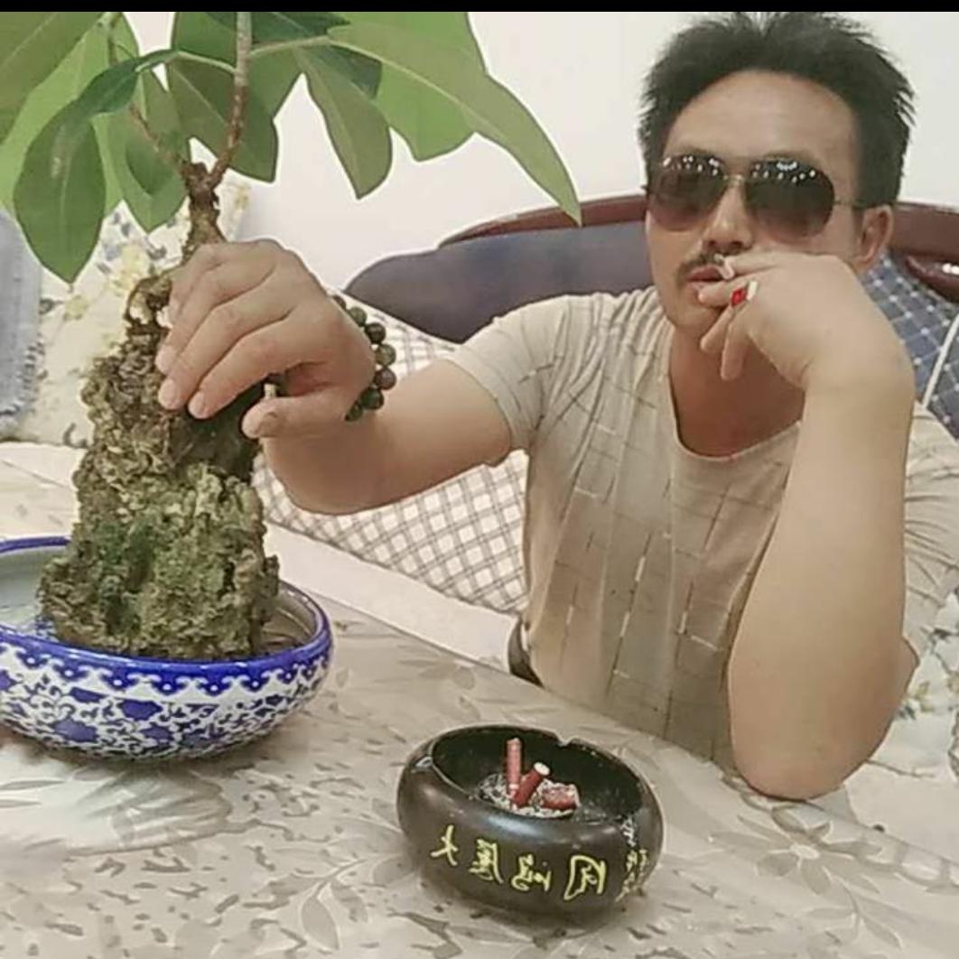 @马军车行